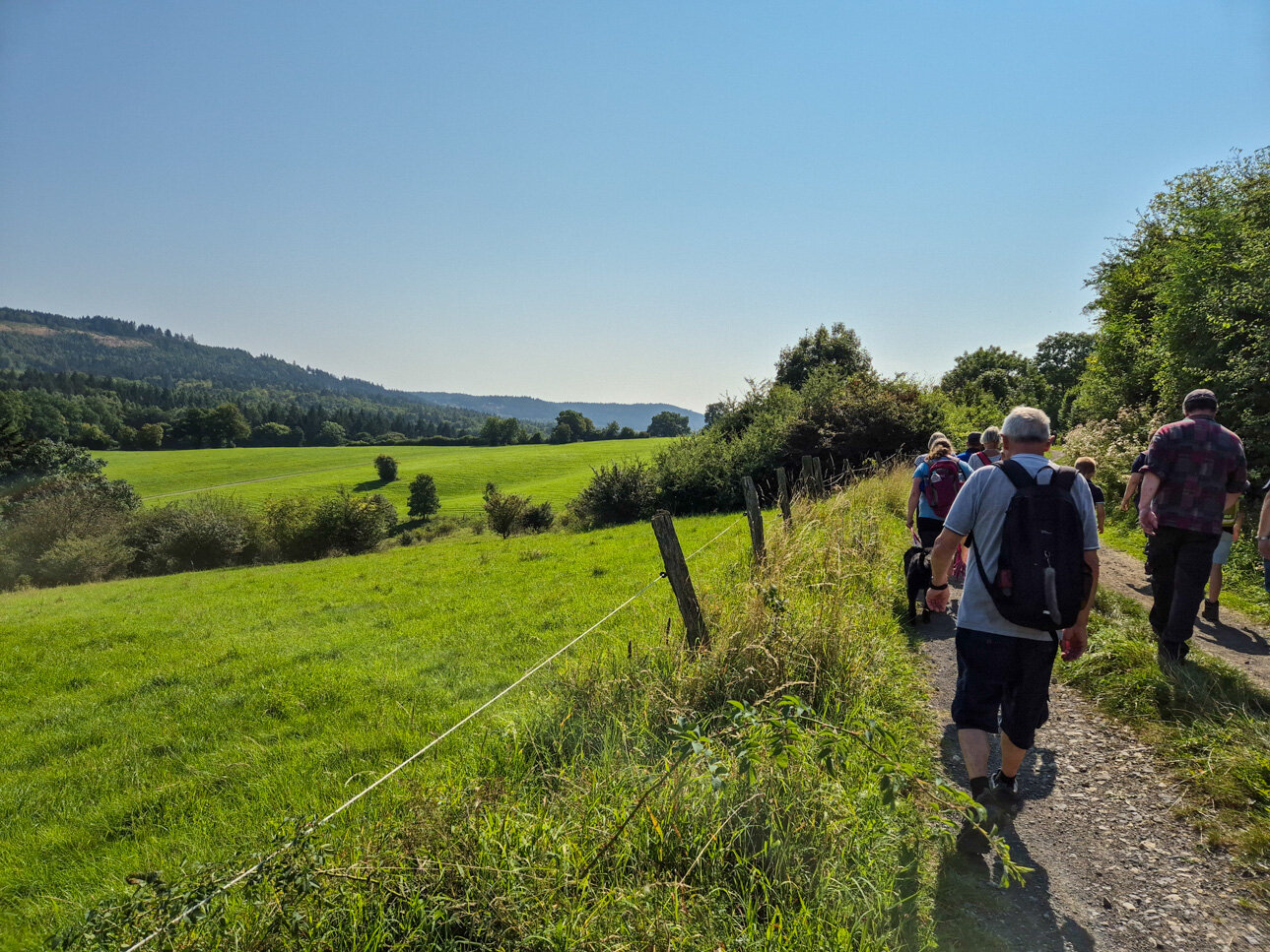 Weg durch Bergwiesen