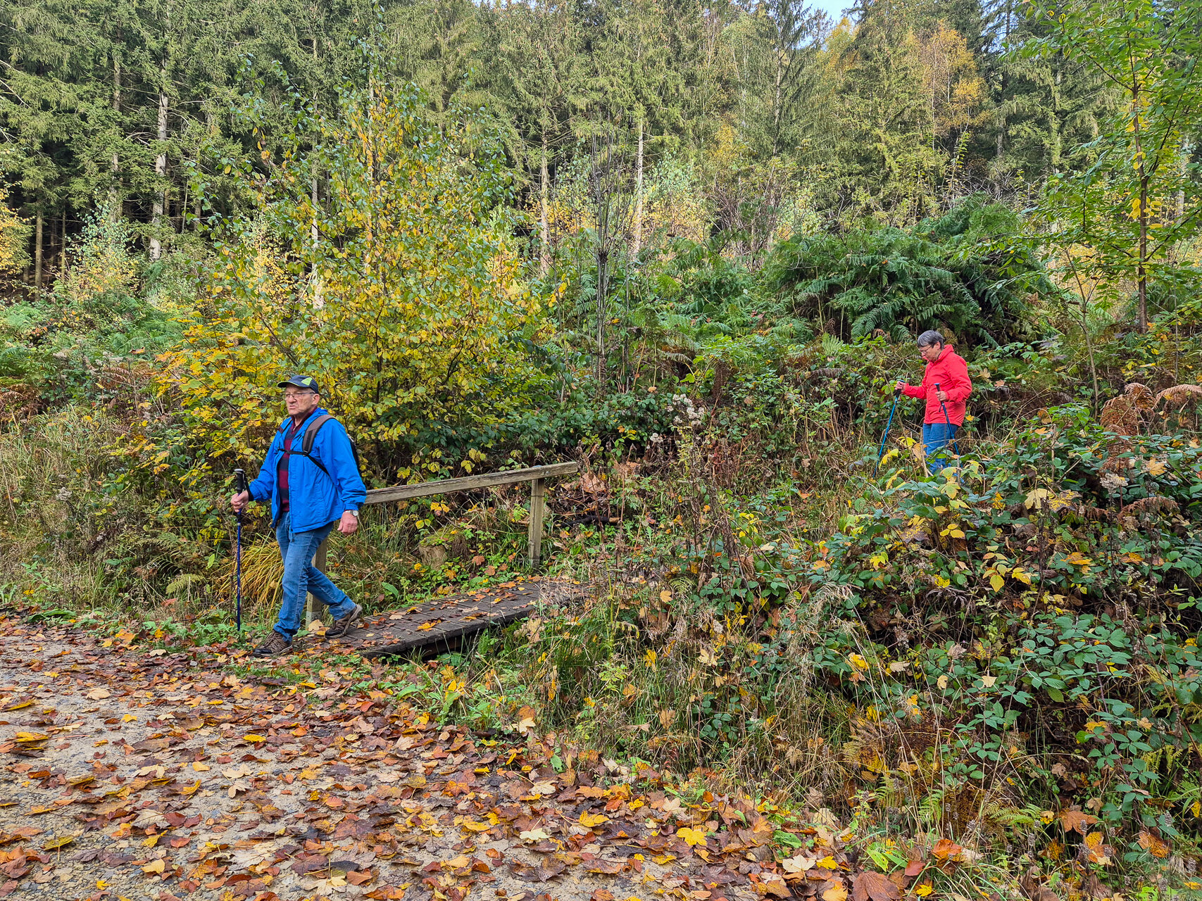 Auf idyllischen Wegen