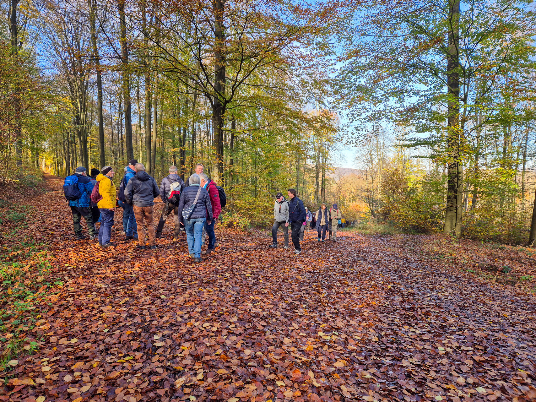 Die Route führt durch den Herbstwald