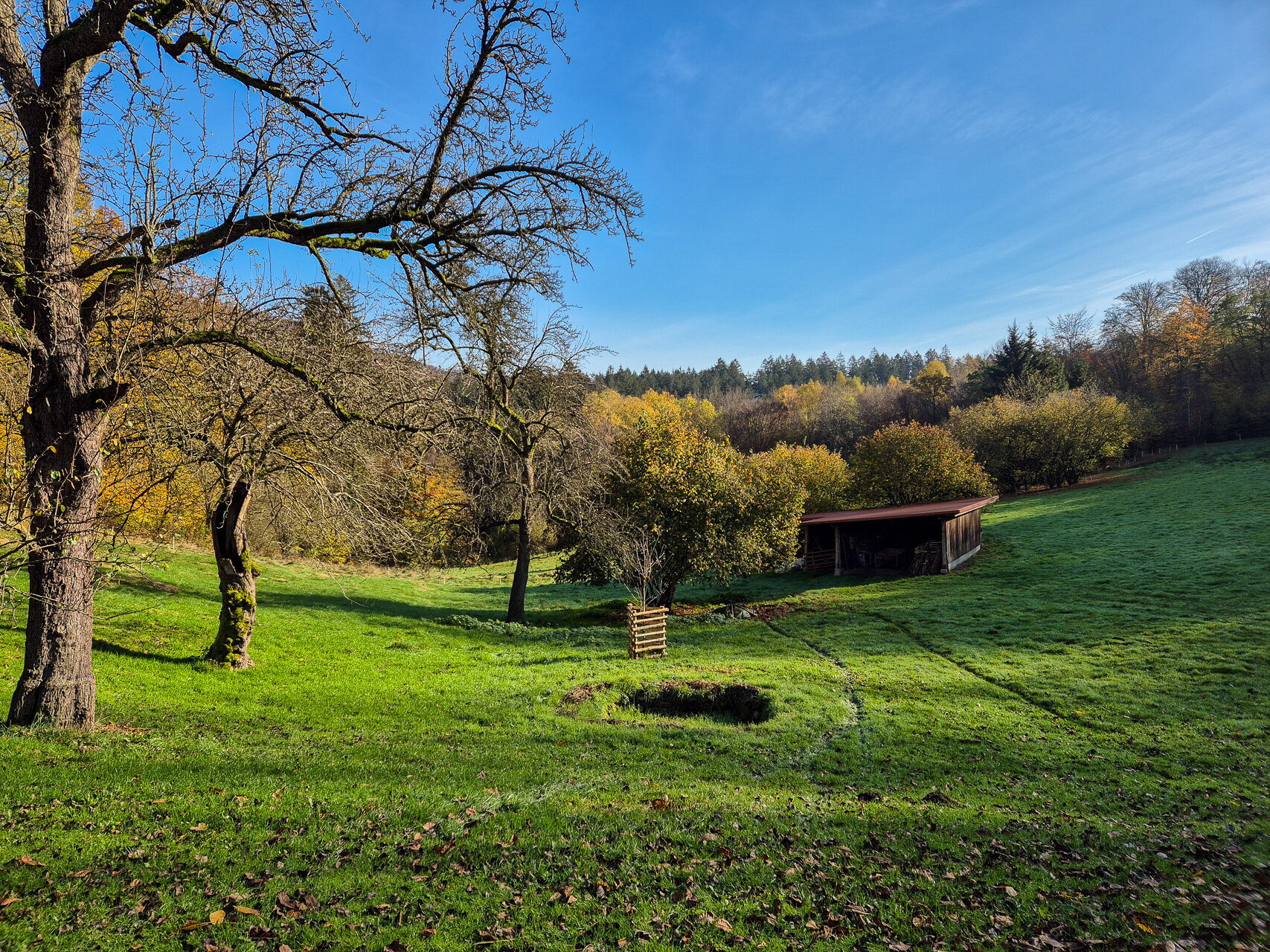 Idyllische Landschaft in Bornemannshausen