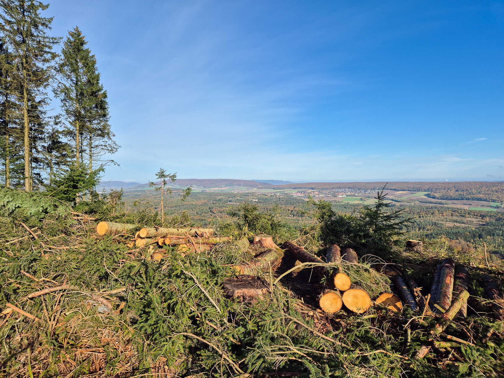 Windbruch auf dem Hilskamm