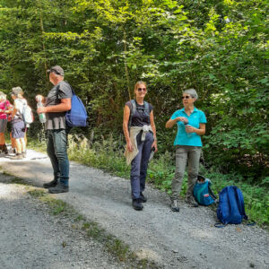 Endlich wieder auf schattigen Terrain