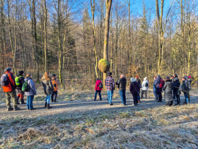 Die Wanderer vor dem besonderen Baum