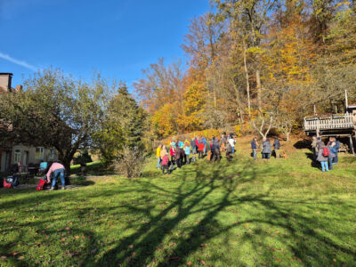 Rast in Bornemannshausen